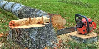 Best Lot and Land Clearing  in Longview Heights, WA