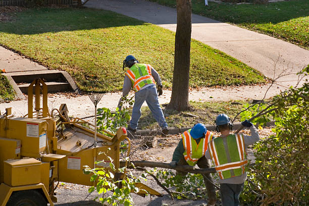 Best Aeration Services  in Longview Heights, WA